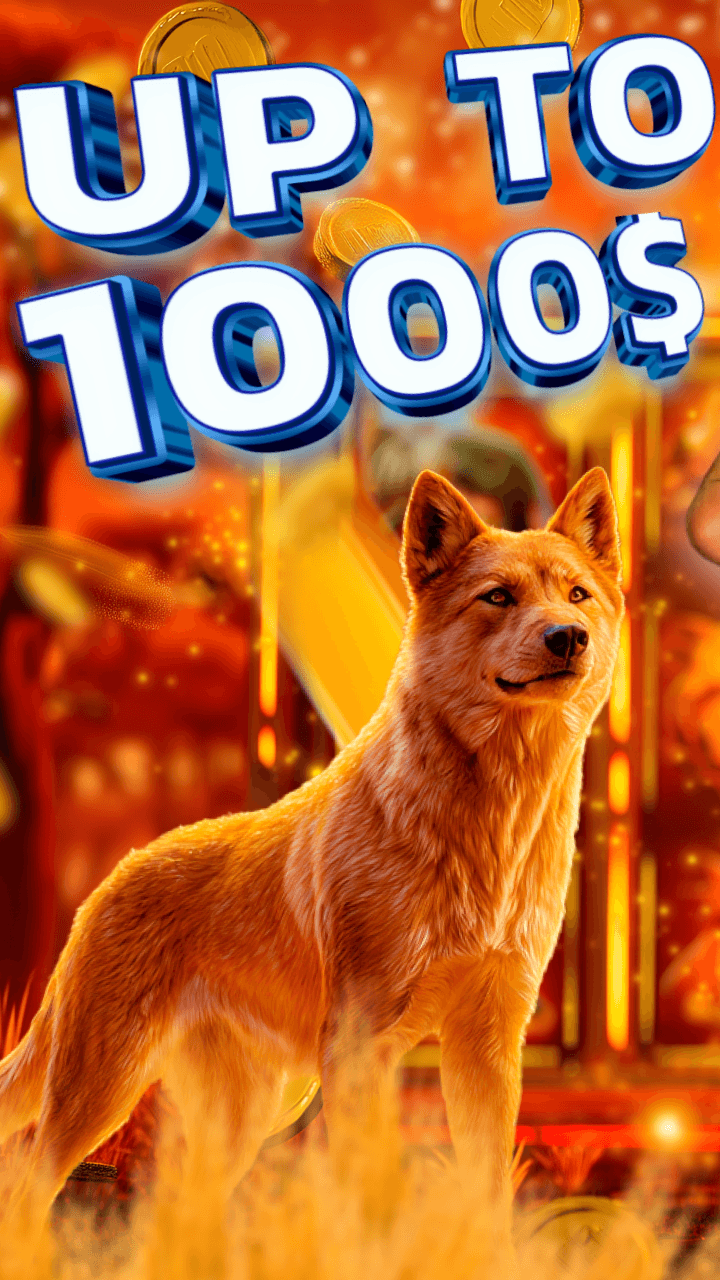 Paul Casino Screenshot